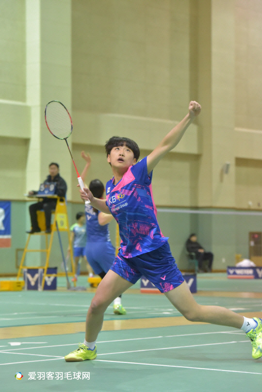 养和整体战 养和整体战