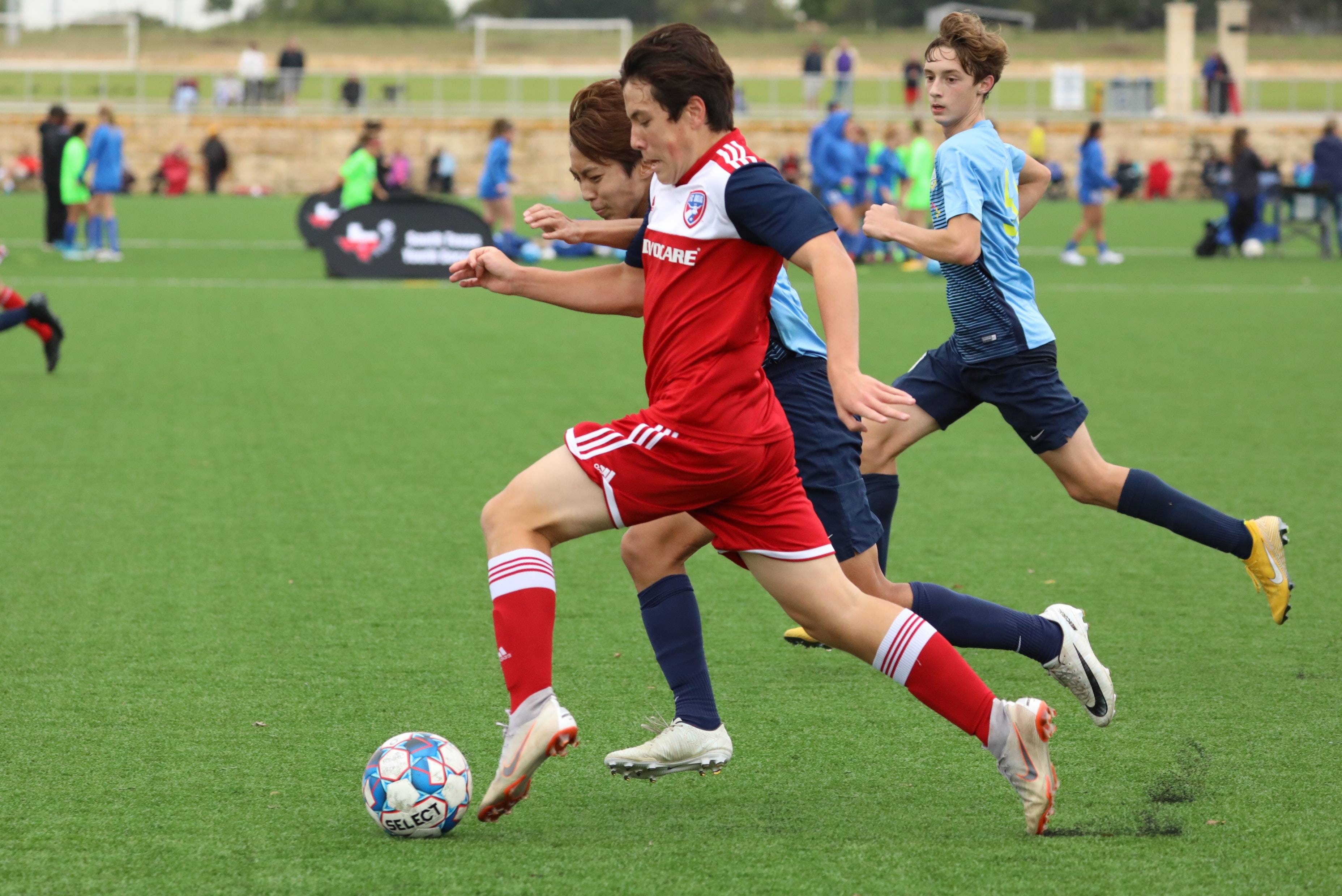 自己是否会 自己是否会