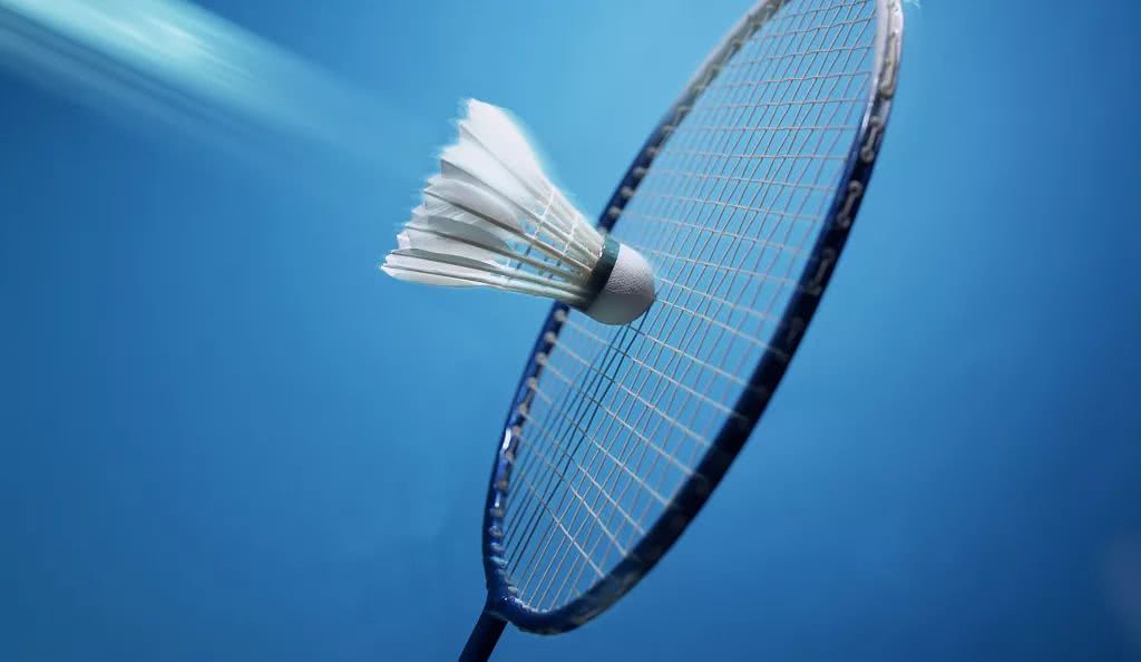 了极力称赞 了极力称赞