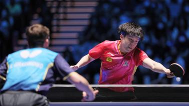 的独特魅力 的独特魅力