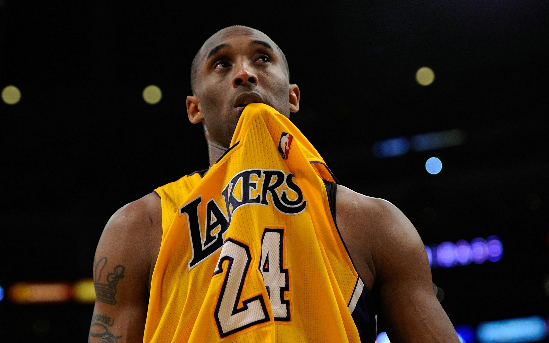 守的细枝末 守的细枝末