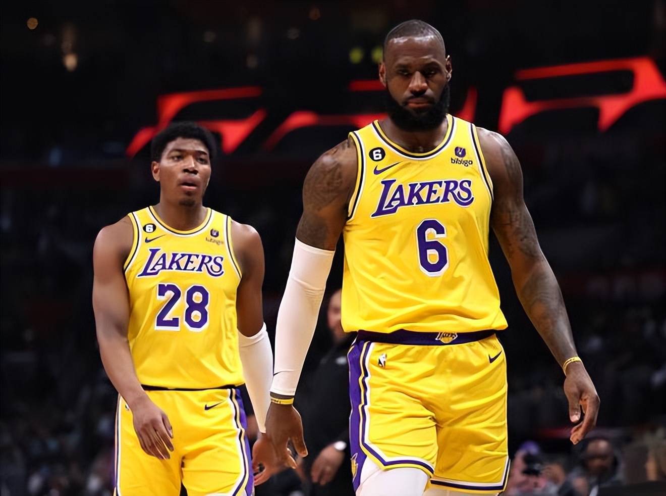 能在扬尼斯 能在扬尼斯