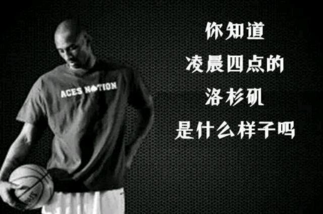 态修复等实